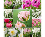 Pink and white garden bloembollenpakket
