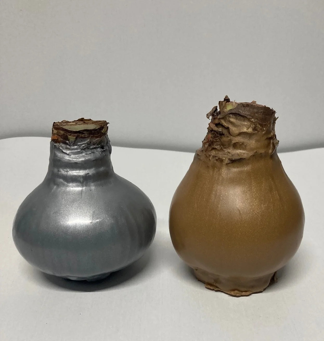 Wax amaryllis duo goud/zilver