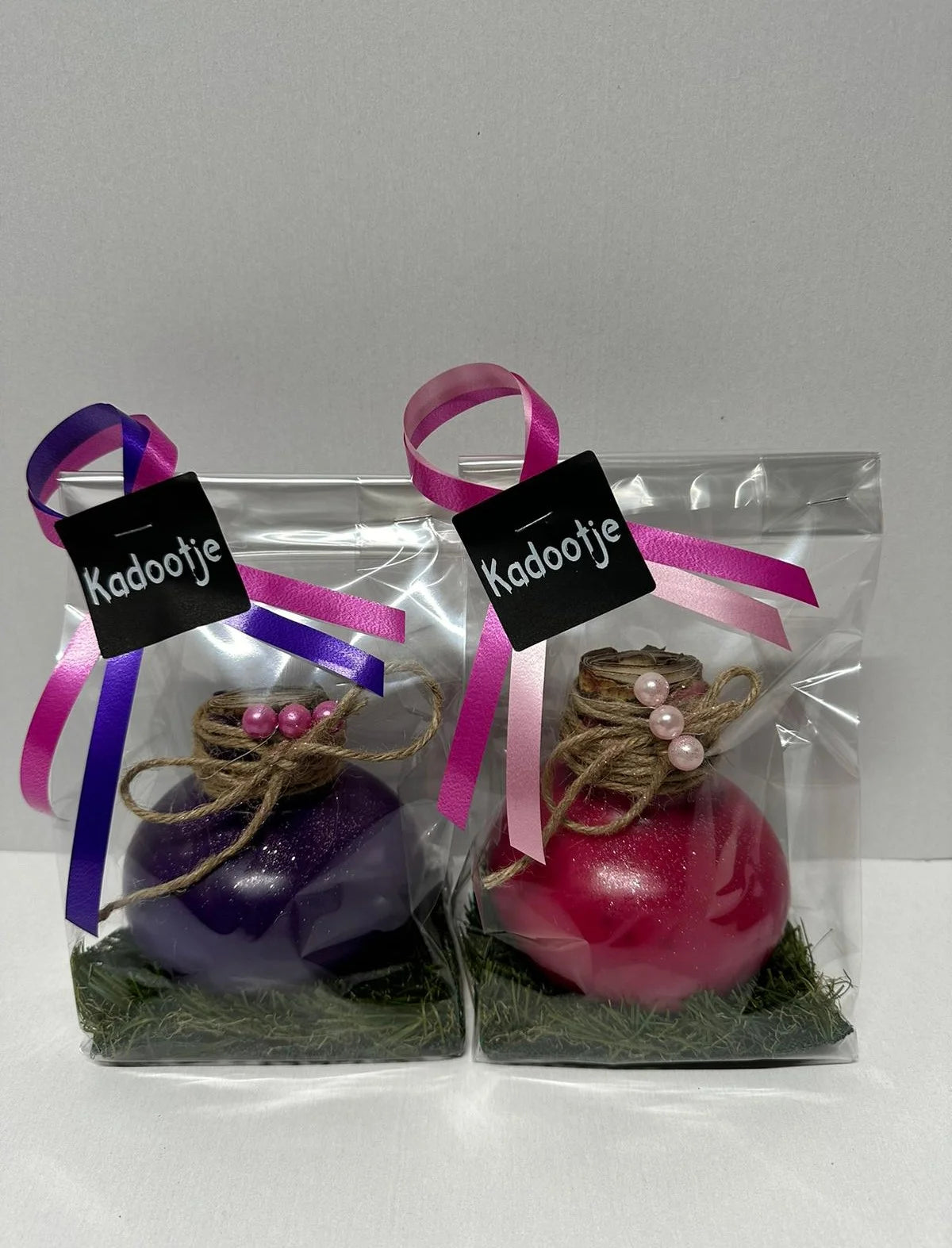 Wax Amaryllis Duo purple and pink in gift packaging