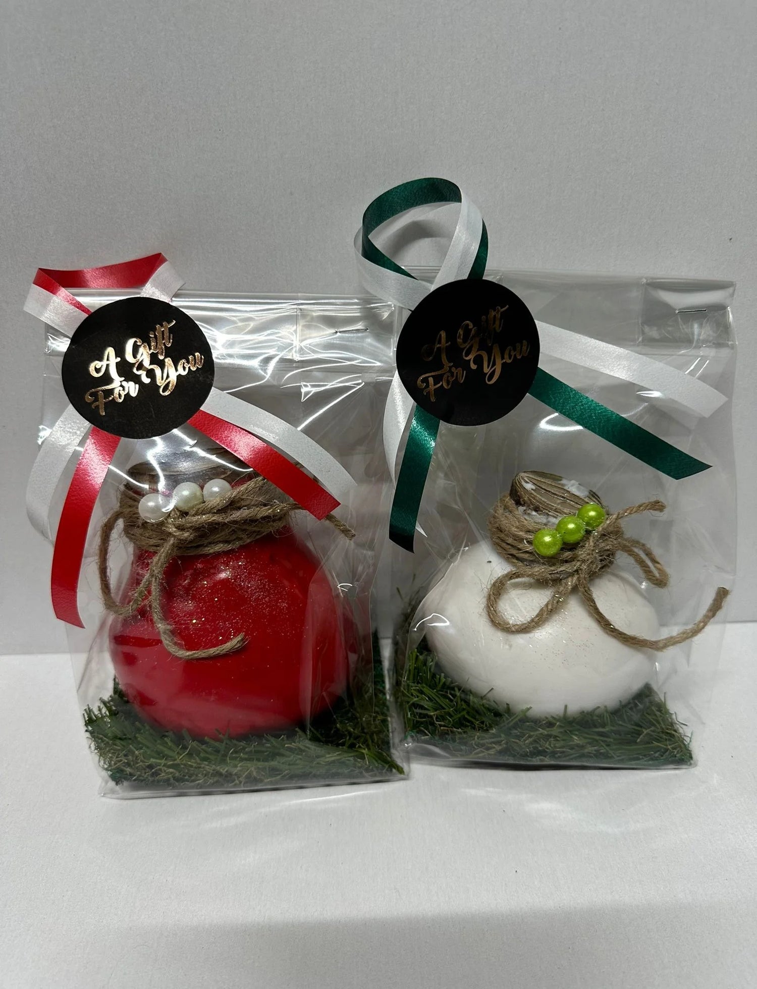 Wax Amaryllis Duo red and white in gift packaging
