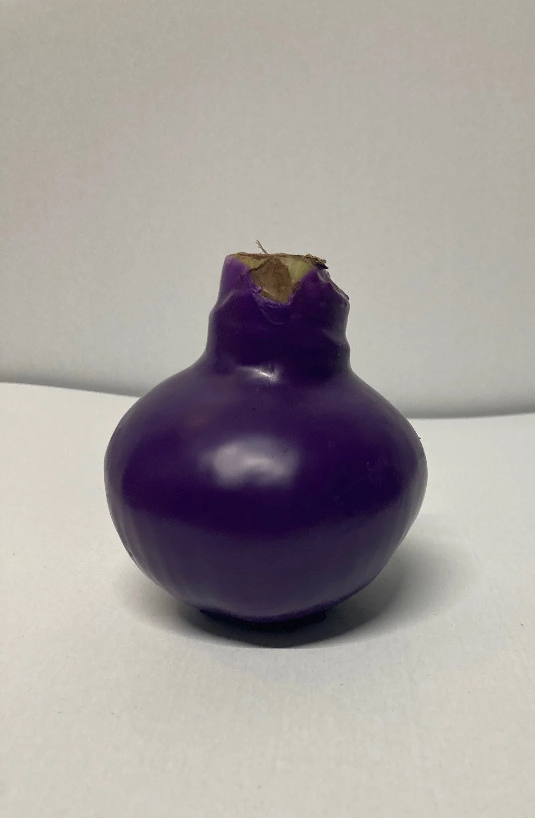 Wax Amaryllis purple