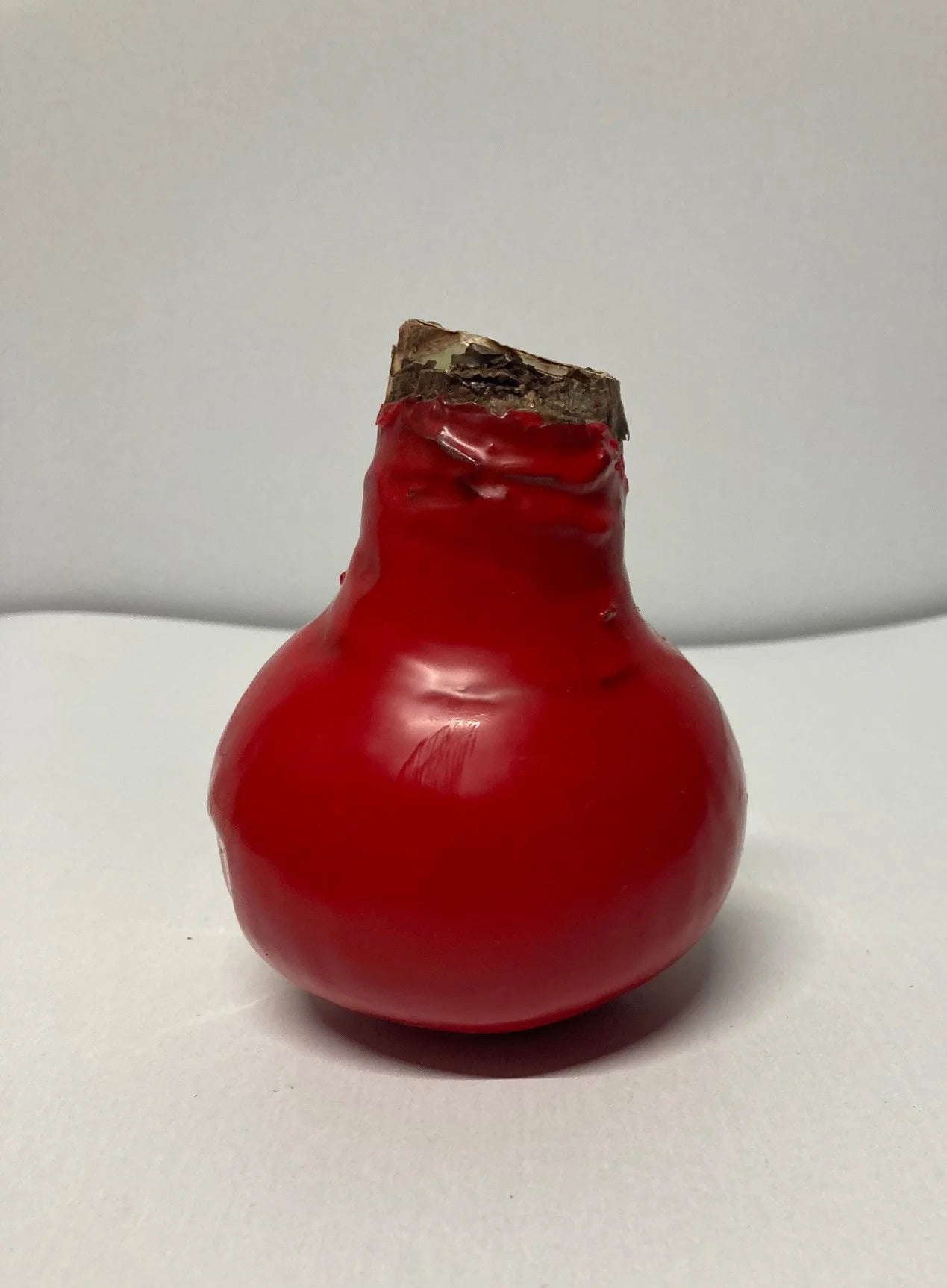 Wachsamaryllis rot