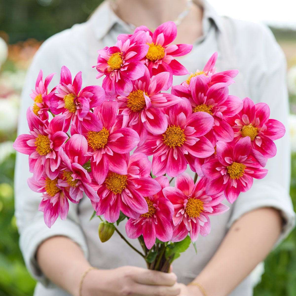 Dahlia Edith Jones