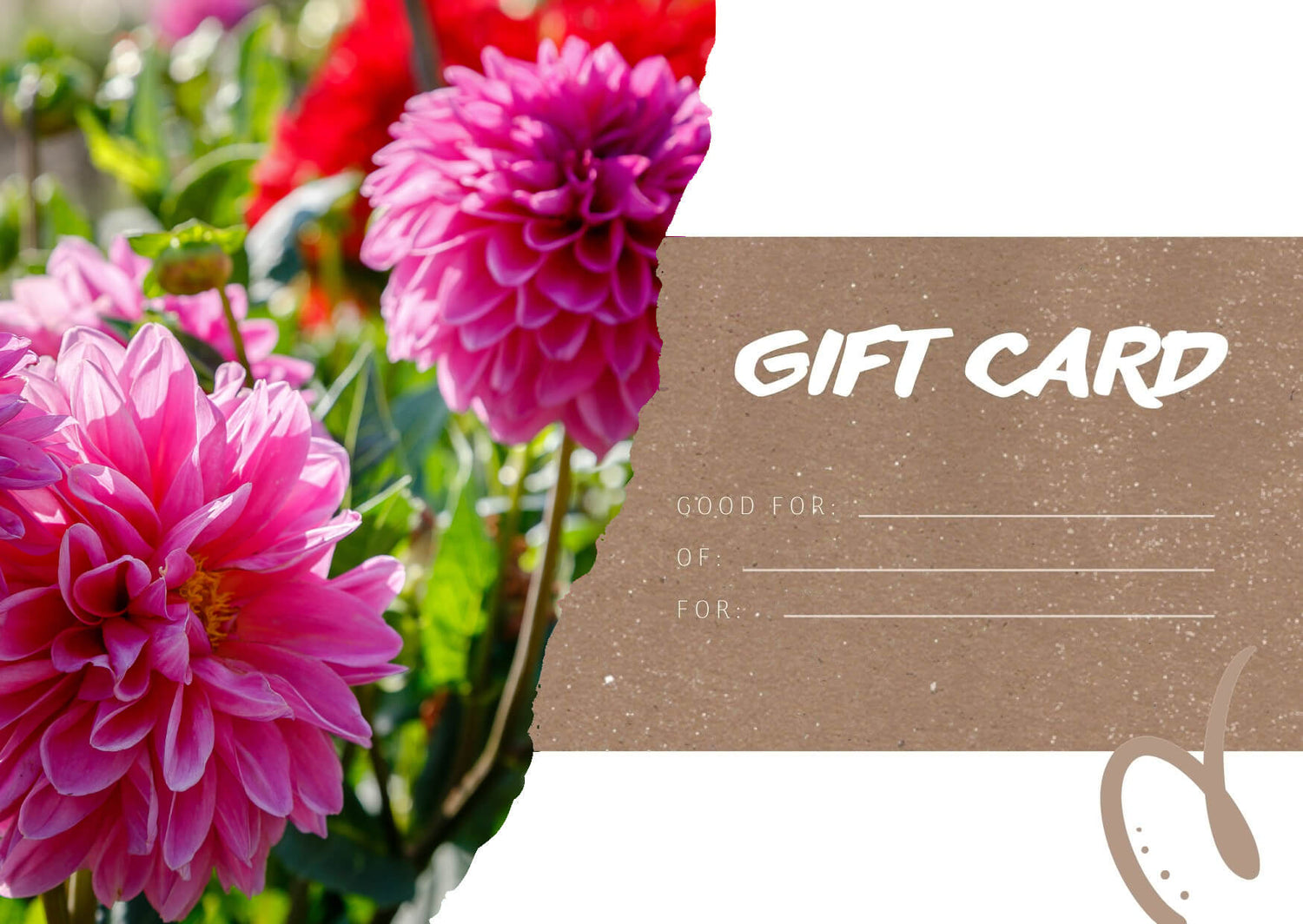 Bulbs4you giftcard