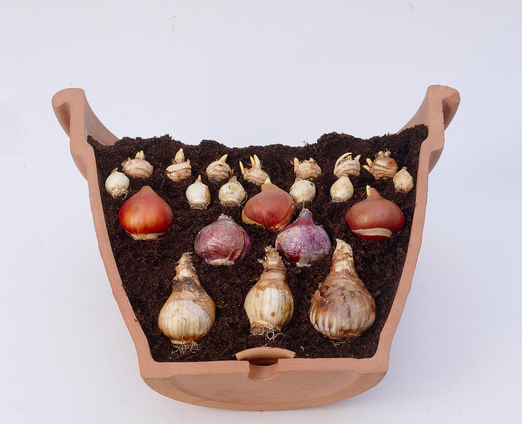 Jip mix for multi-storey planting