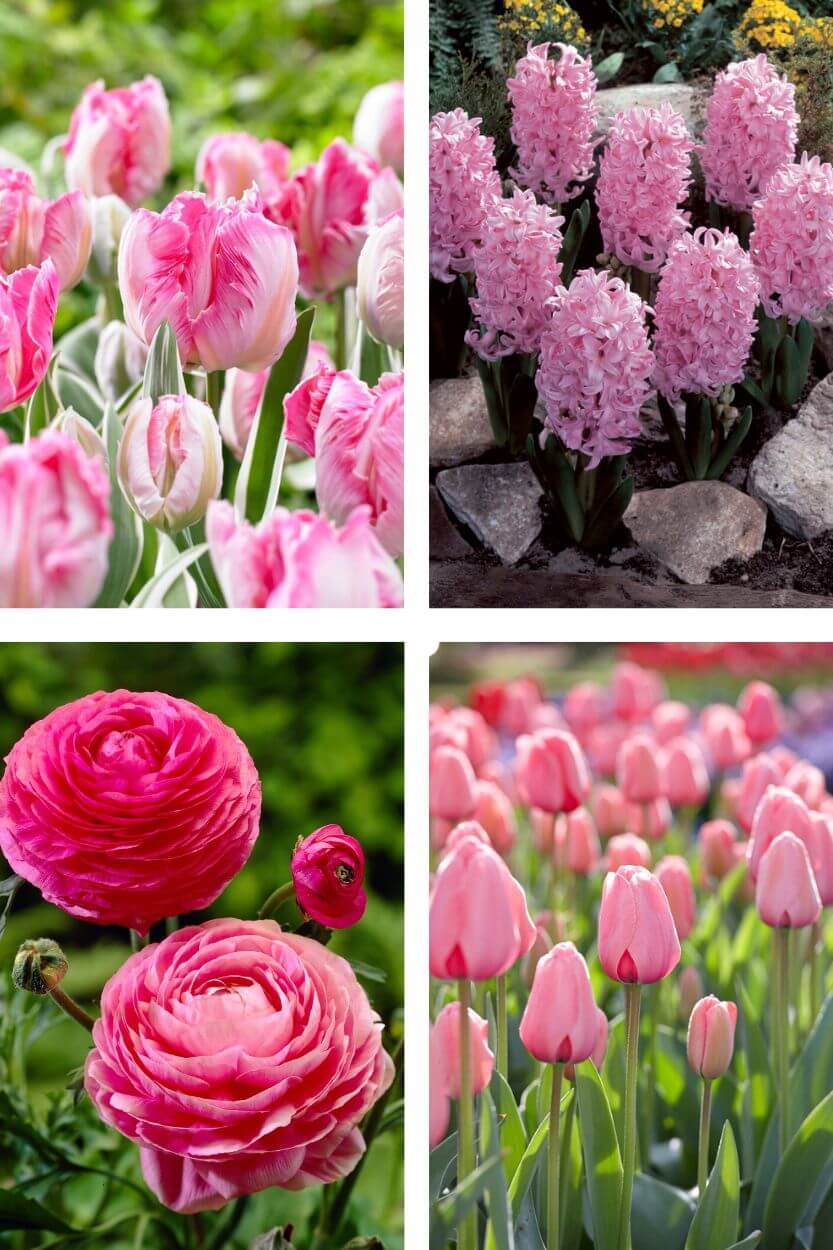 Pink Garden Collectie