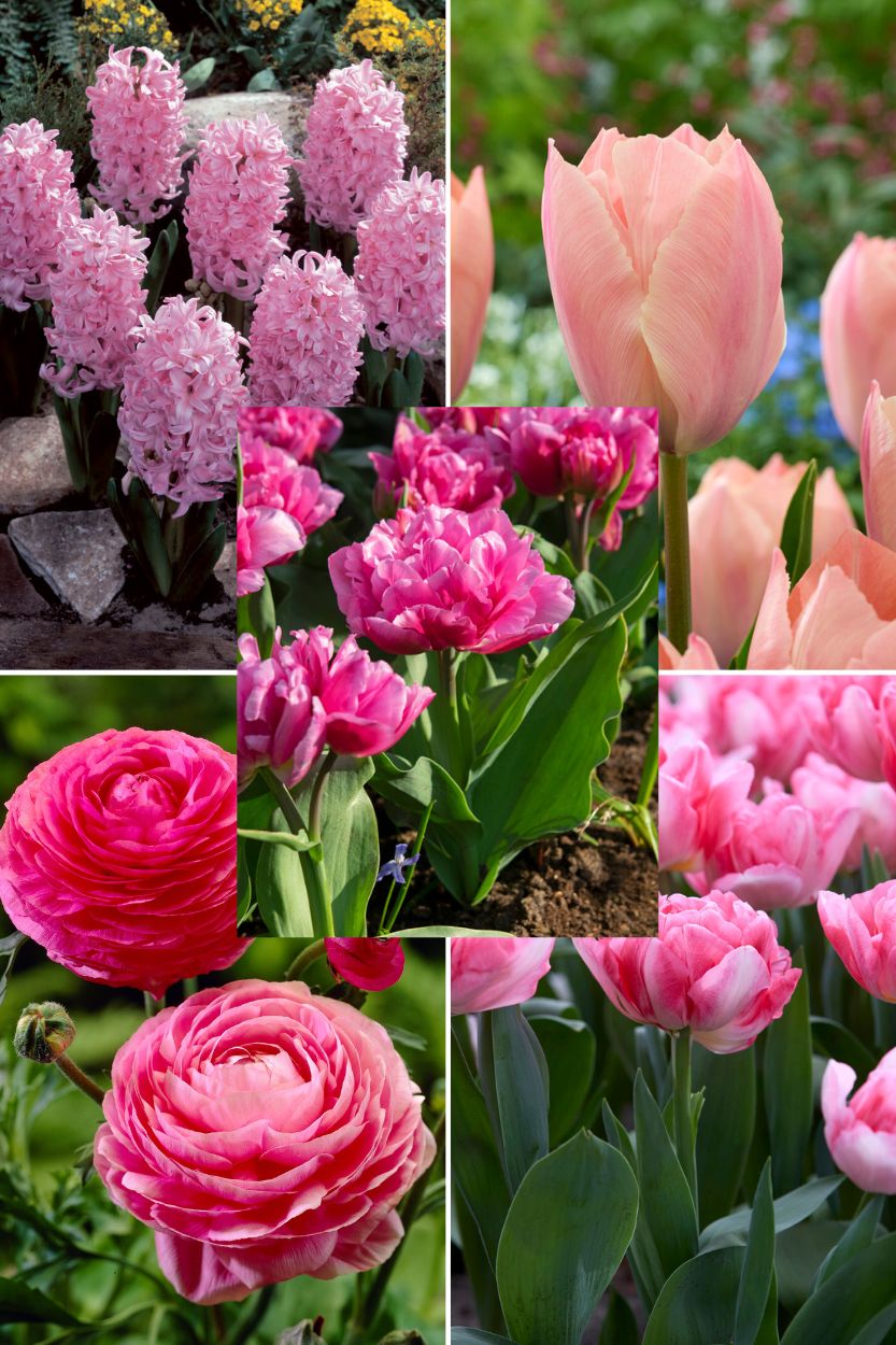 Pink Garden-Kollektion