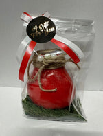 Wax Amaryllis rood in geschenkverpakking